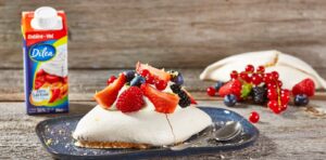 pavlova-slagroom-Dilea-volle room