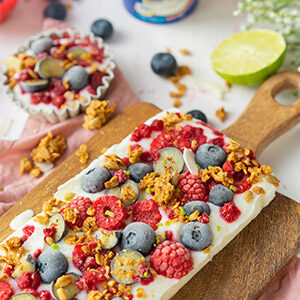frozen yoghurt bars 1