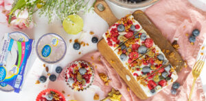 frozen yoghurt bars_yoghurtijsrepen